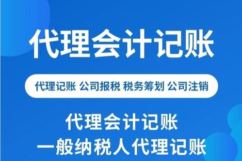 图 长沙代理记账 专业团队 安心省心 长沙会计审计