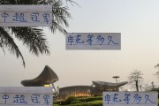 热刺时隔17年拿到第一座冠军奖杯 而申花还要等多少年
